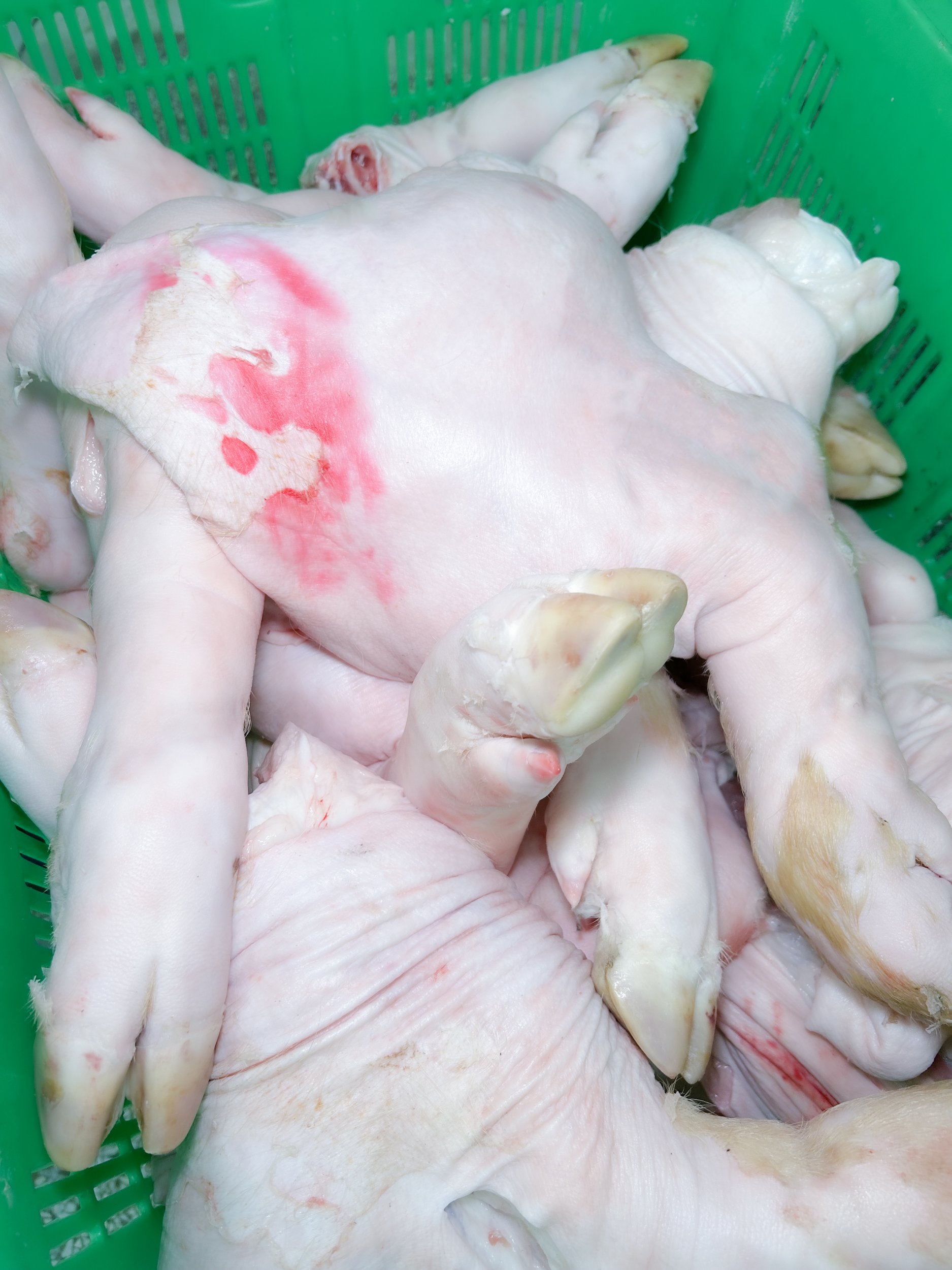菜多多实拍鲜肉图 (5)